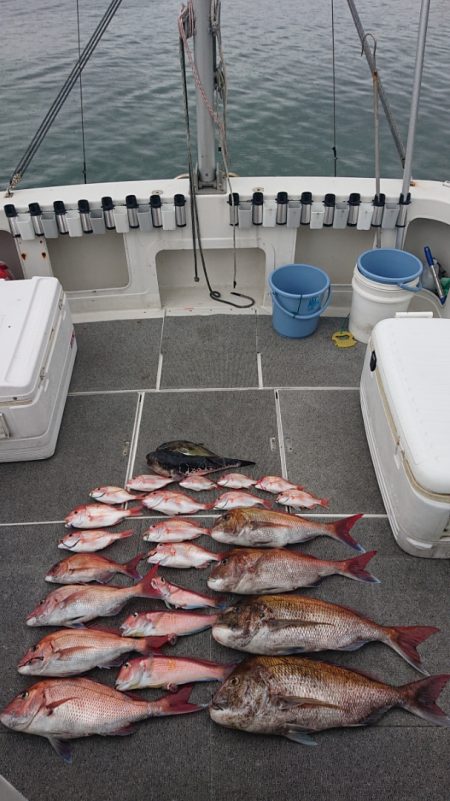 ARCADIAⅡ (アルカディアⅡ) 釣果