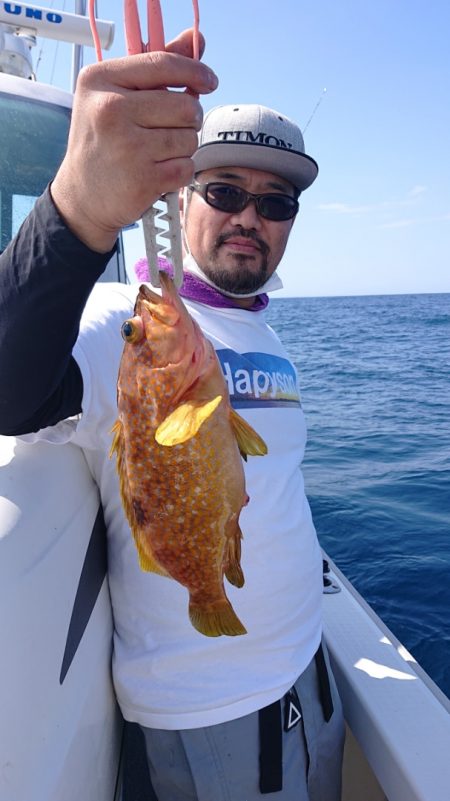 ARCADIAⅡ (アルカディアⅡ) 釣果