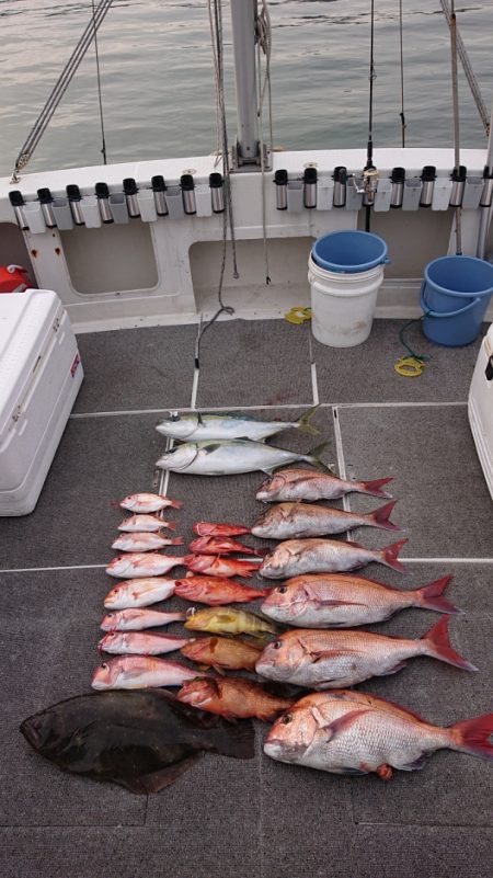 ARCADIAⅡ (アルカディアⅡ) 釣果