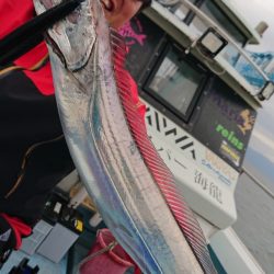 シースナイパー海龍 釣果