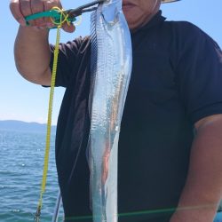 シースナイパー海龍 釣果