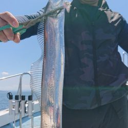 シースナイパー海龍 釣果