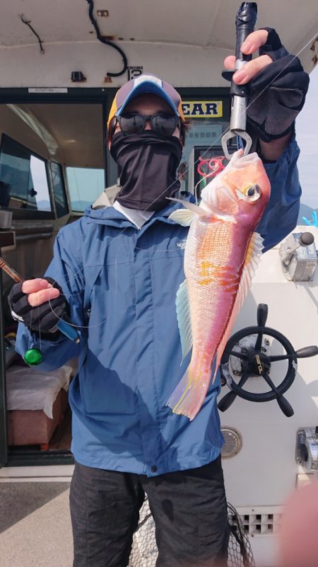 ARCADIAⅡ (アルカディアⅡ) 釣果