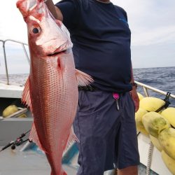 だて丸 釣果