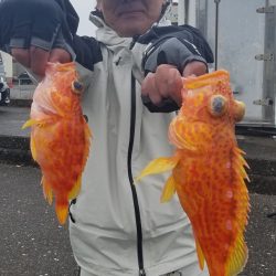 進誠丸 釣果
