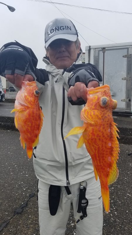 進誠丸 釣果