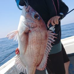 だて丸 釣果
