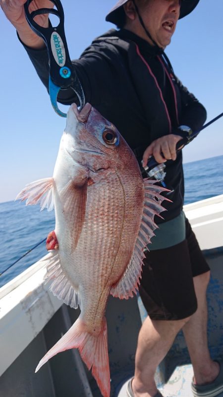 だて丸 釣果