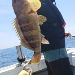 だて丸 釣果