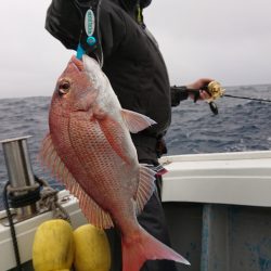 だて丸 釣果