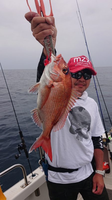 ARCADIAⅡ (アルカディアⅡ) 釣果