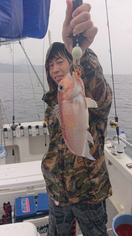 ARCADIAⅡ (アルカディアⅡ) 釣果