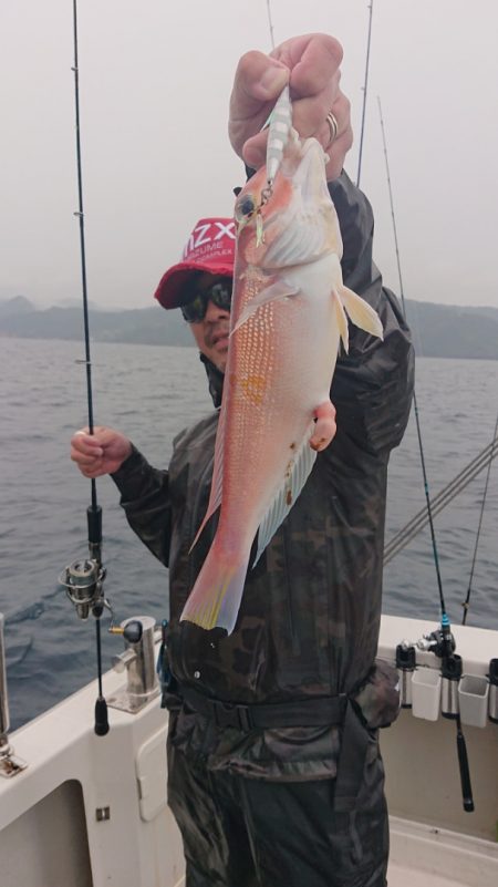 ARCADIAⅡ (アルカディアⅡ) 釣果