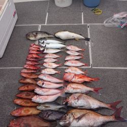 ARCADIAⅡ (アルカディアⅡ) 釣果