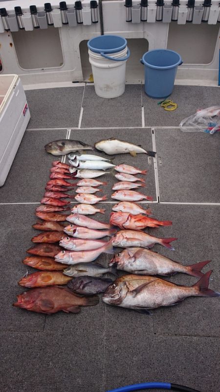 ARCADIAⅡ (アルカディアⅡ) 釣果