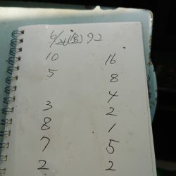 金沢八景鴨下丸 釣果