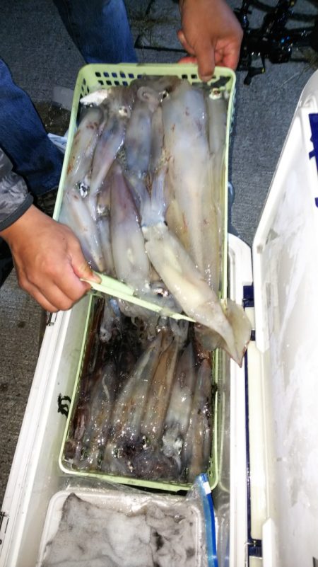 第二龍勢丸 釣果