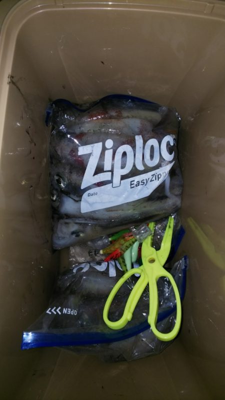 第二龍勢丸 釣果