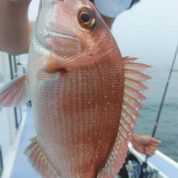 新幸丸 釣果