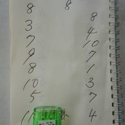 金沢八景鴨下丸 釣果