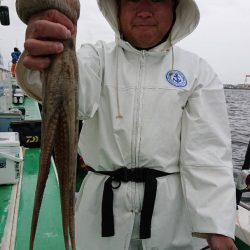 金沢八景鴨下丸 釣果