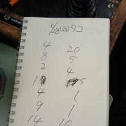 金沢八景鴨下丸 釣果