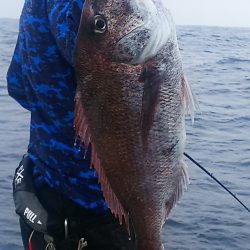 ブルドック 釣果