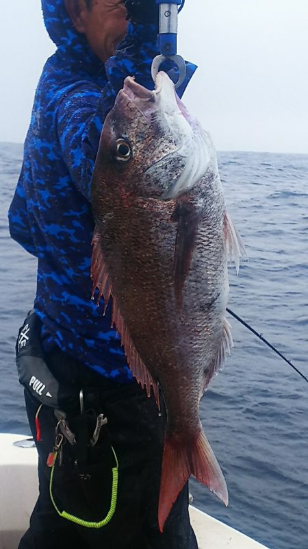 ブルドック 釣果