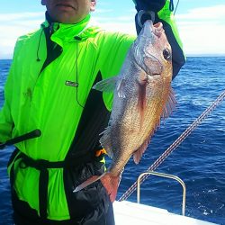 ブルドック 釣果