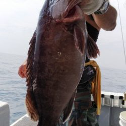 第二龍勢丸 釣果