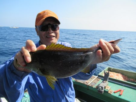 真祐丸 (しんゆうまる) 釣果