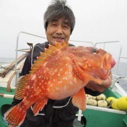 真祐丸 (しんゆうまる) 釣果