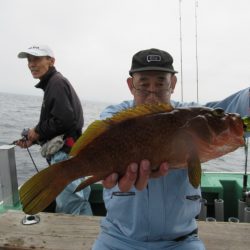 真祐丸 (しんゆうまる) 釣果