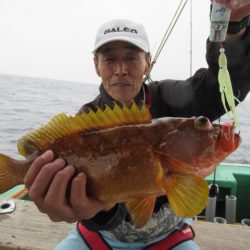 真祐丸 (しんゆうまる) 釣果