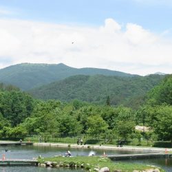 平谷湖フィッシングスポット 釣果