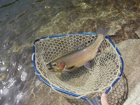 平谷湖フィッシングスポット 釣果