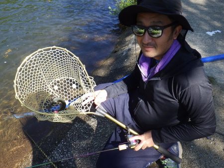 平谷湖フィッシングスポット 釣果