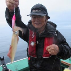 真祐丸 (しんゆうまる) 釣果