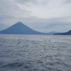 海晴丸 釣果