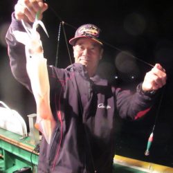 真祐丸 (しんゆうまる) 釣果