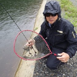 平谷湖フィッシングスポット 釣果