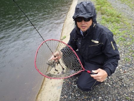 平谷湖フィッシングスポット 釣果