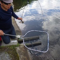 平谷湖フィッシングスポット 釣果