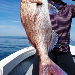 遊漁船 家入 釣果