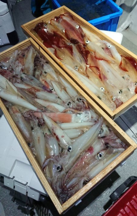 宝生丸 釣果