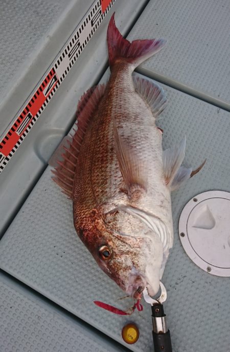 遊漁船 家入 釣果