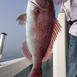 遊漁船 家入 釣果