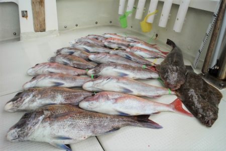 KIM Fishing Guide Ser…