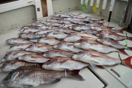 KIM Fishing Guide Ser…