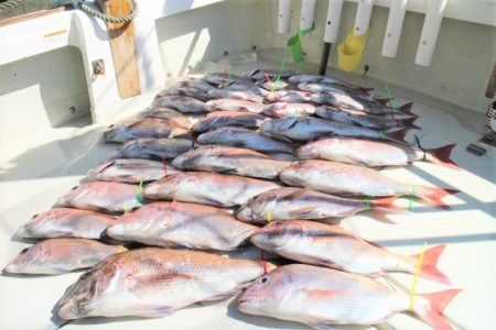 KIM Fishing Guide Ser…